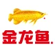 店铺头像